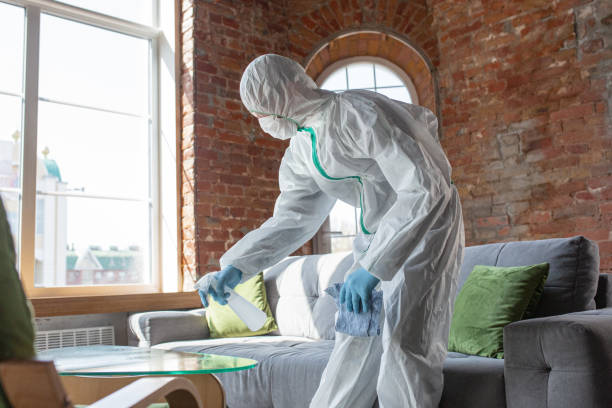  , USA Mold Removal & Remediation Pros